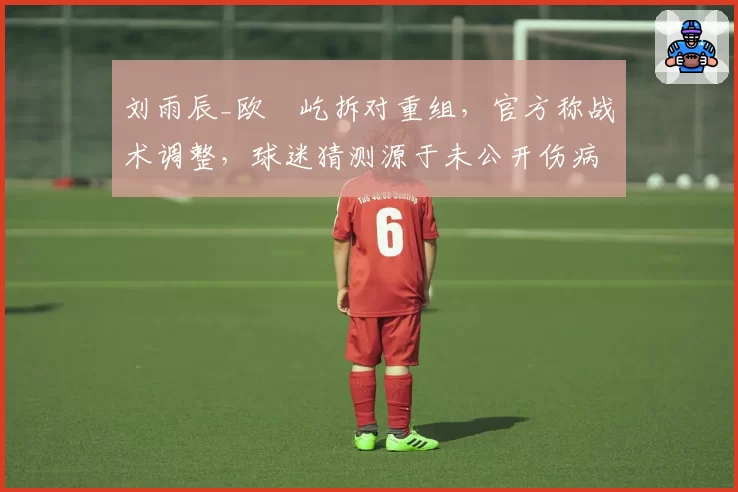 刘雨辰_欧烜屹拆对重组，官方称战术调整，球迷猜测源于未公开伤病