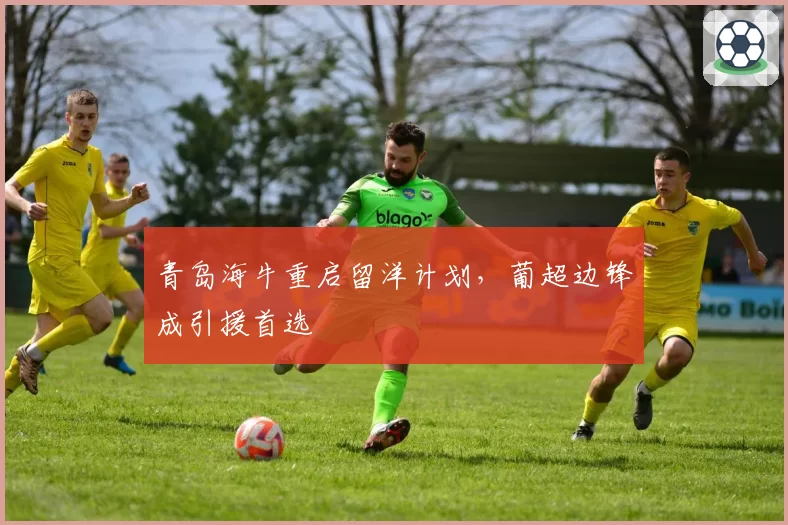 青岛海牛重启留洋计划，葡超边锋成引援首选