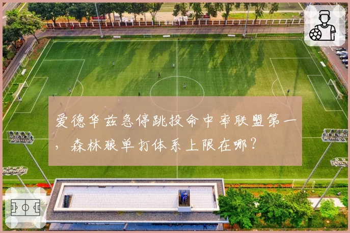 爱德华兹急停跳投命中率联盟第一，森林狼单打体系上限在哪？