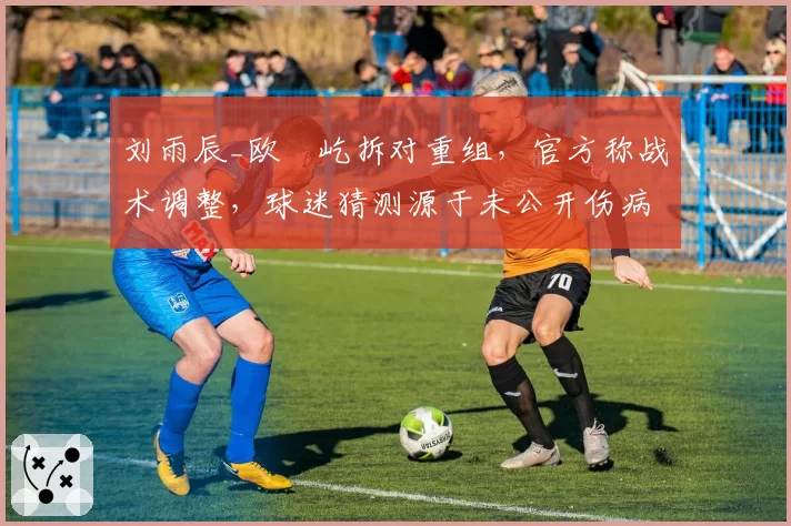 刘雨辰_欧烜屹拆对重组，官方称战术调整，球迷猜测源于未公开伤病
