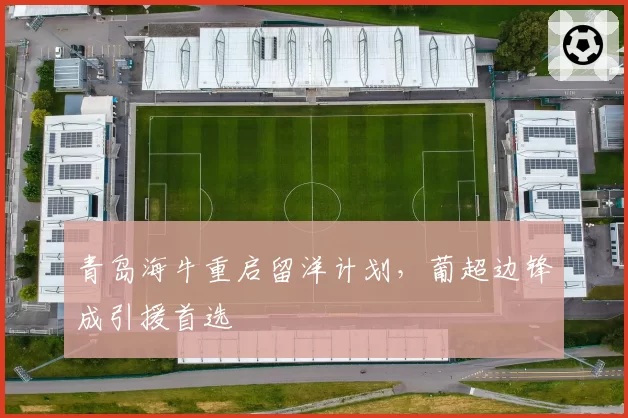 青岛海牛重启留洋计划,葡超边锋成引援首选
