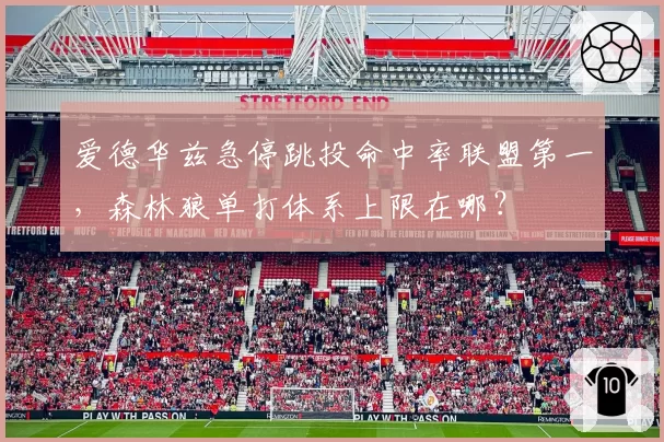 爱德华兹急停跳投命中率联盟第一，森林狼单打体系上限在哪？