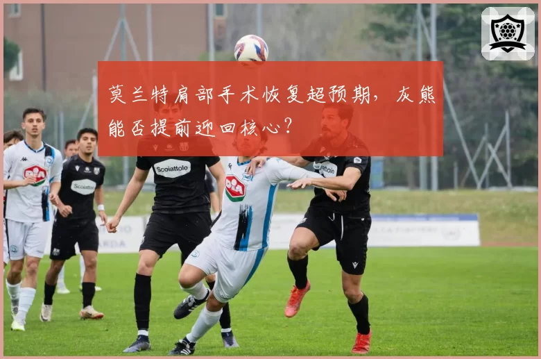 莫兰特肩部手术恢复超预期，灰熊能否提前迎回核心？